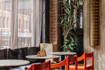 Interior of Ace Hotel Sydney. Marble café tables and red rush-seat chairs by a curtained window, with exposed brick, a tall dracaena, and a perforated brass wall lamp.